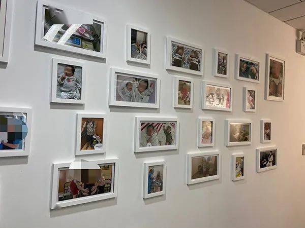 郑爽代孕事件分析_格鲁吉亚代孕中介_代孕伦理争议