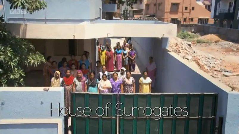 格鲁吉亚代孕的社会影响_格鲁吉亚代孕的社会影响_格鲁吉亚供卵者