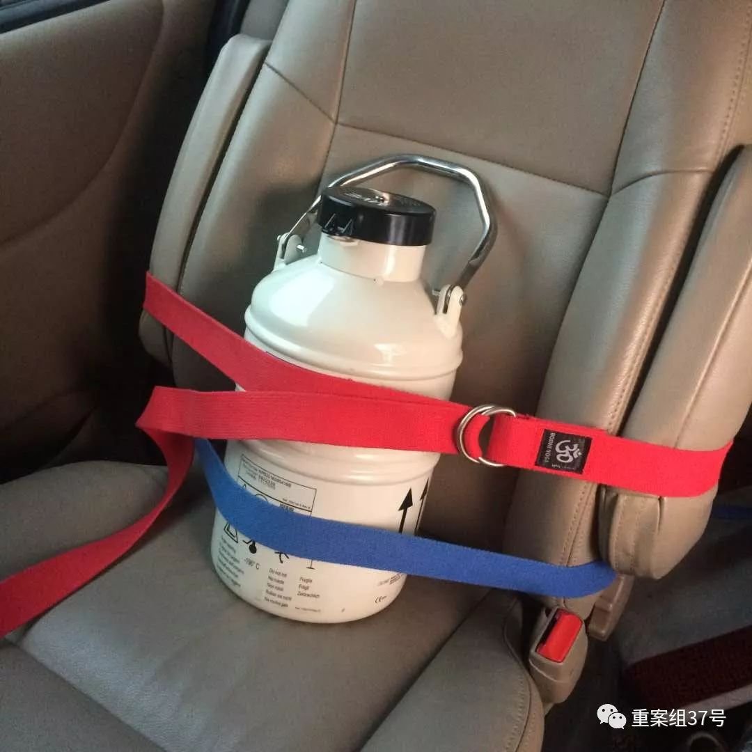 格鲁吉亚代孕是否违法的判定依据_失独家庭胚胎维权 代孕法律困境 甜甜出生曲折经历