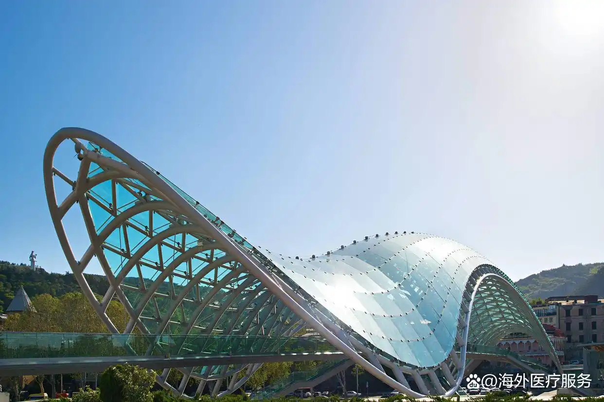 格鲁吉亚代孕的替代方案_格鲁吉亚取消结婚证试管婴儿要求_格鲁吉亚试管婴儿政策调整