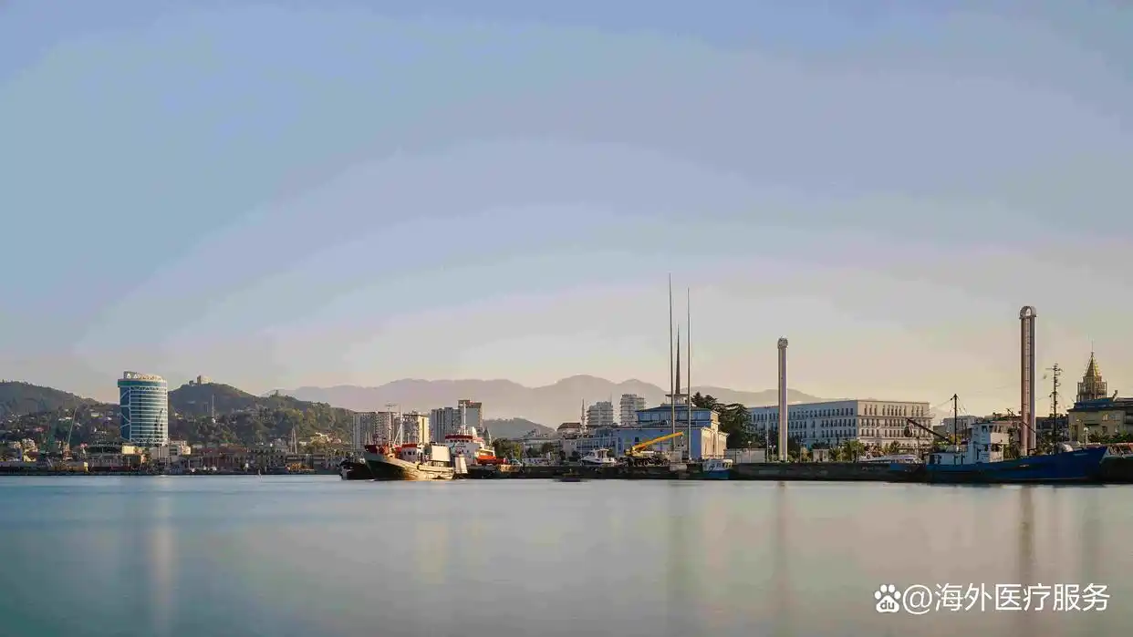 格鲁吉亚取消结婚证试管婴儿要求_格鲁吉亚代孕的替代方案_格鲁吉亚试管婴儿政策调整