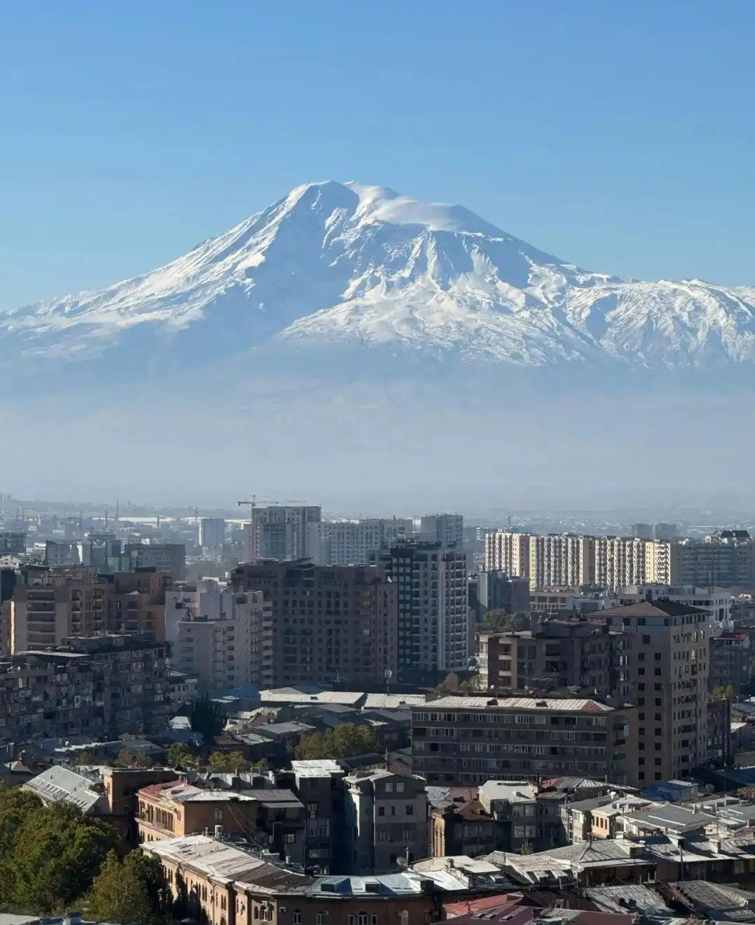 格鲁吉亚取卵黑窝点_泰国女性格鲁吉亚代孕_格鲁吉亚代孕灰色产业链