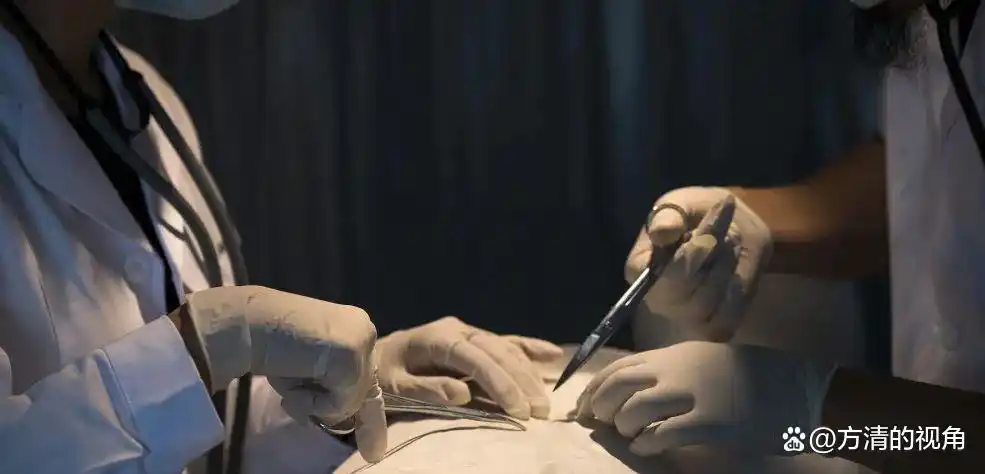 格鲁吉亚代孕灰色产业链_格鲁吉亚卵子农场_泰国女子代孕被骗