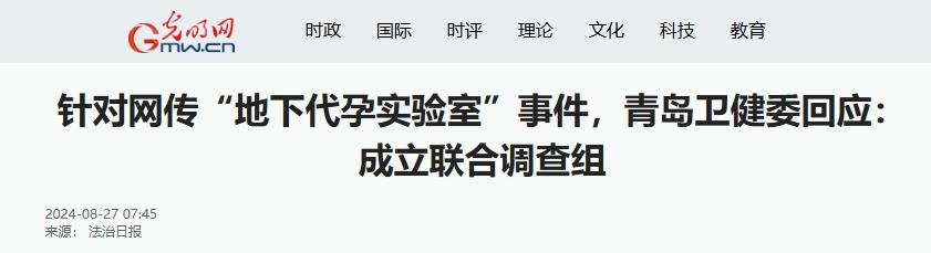 代孕产业黑幕揭秘_代孕在格鲁吉亚的现状_青岛代孕实验室曝光
