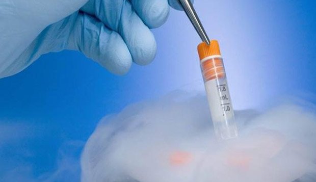 格鲁吉亚代孕流程与步骤